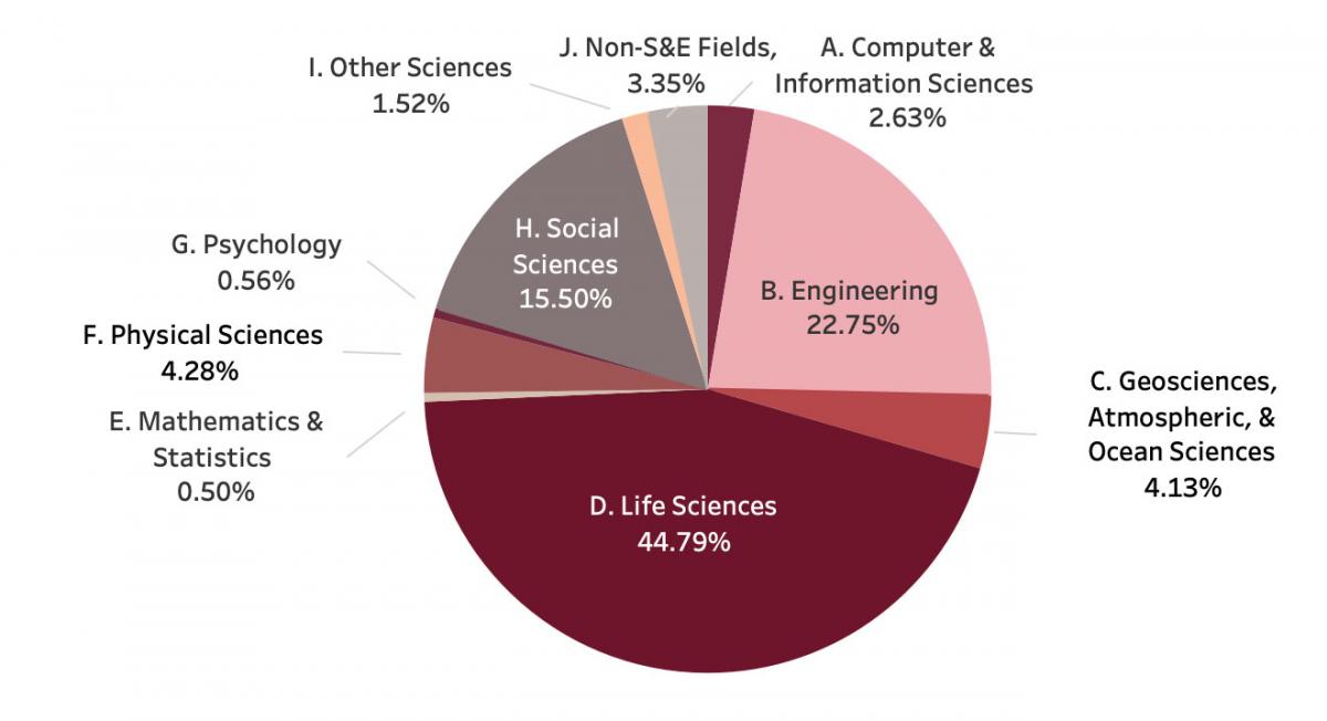 FY19 R&D Expenditures by NSF Discipline